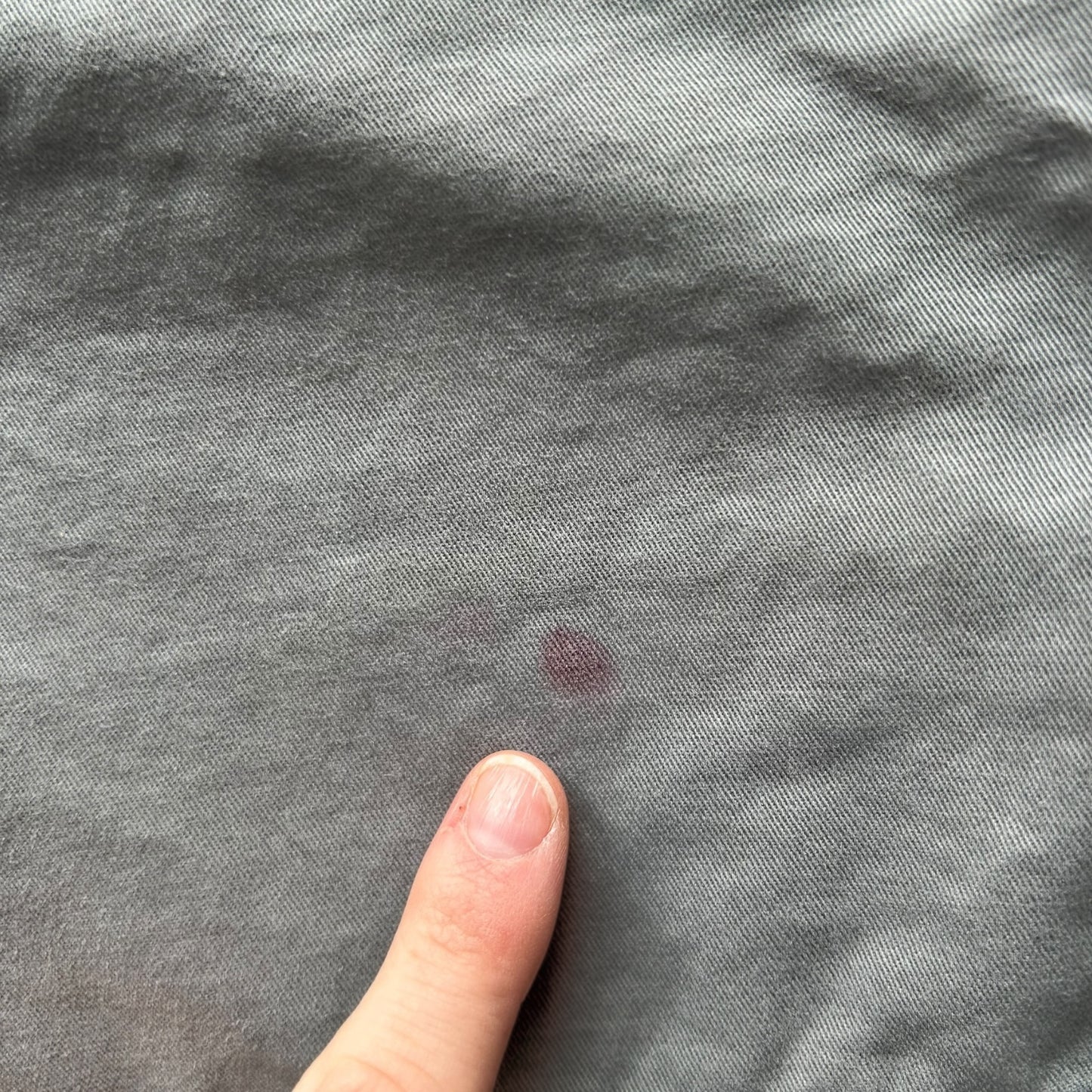 42" Tommy Hilfiger Grey Shorts