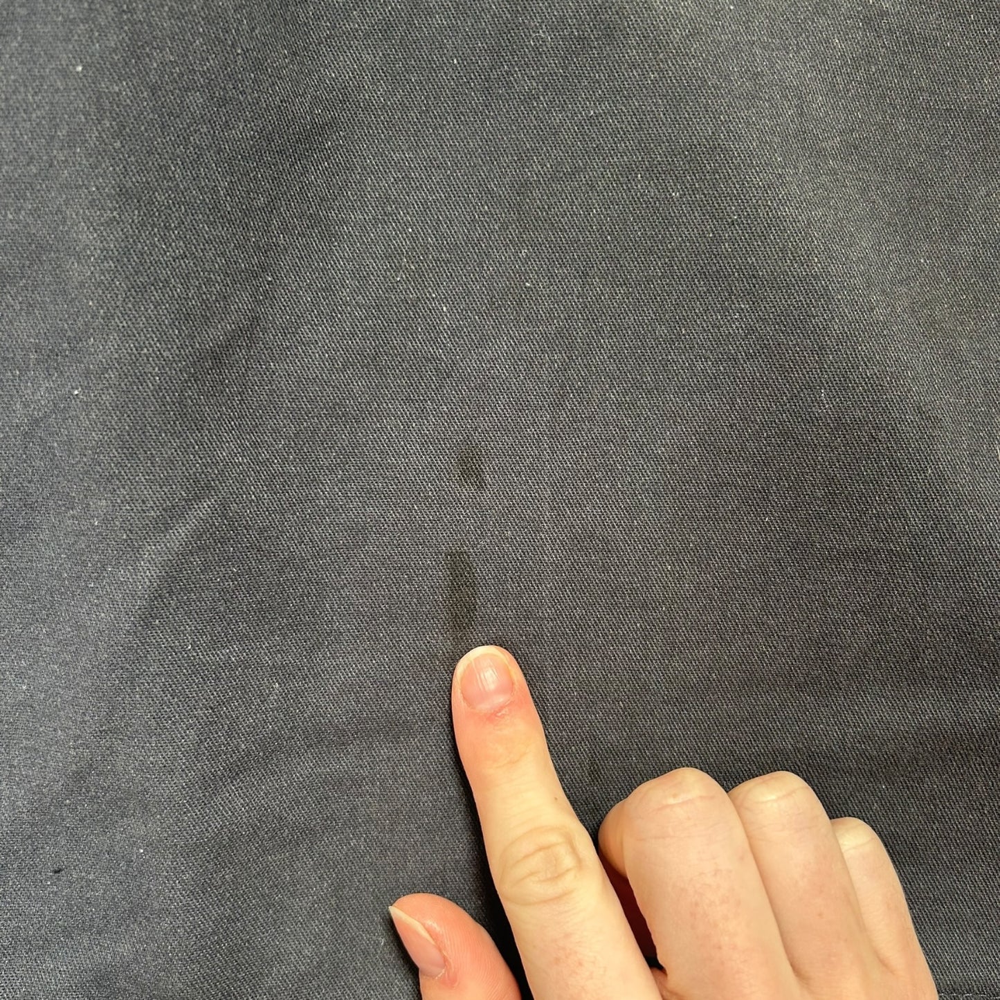 34" Dickies Navy Shorts