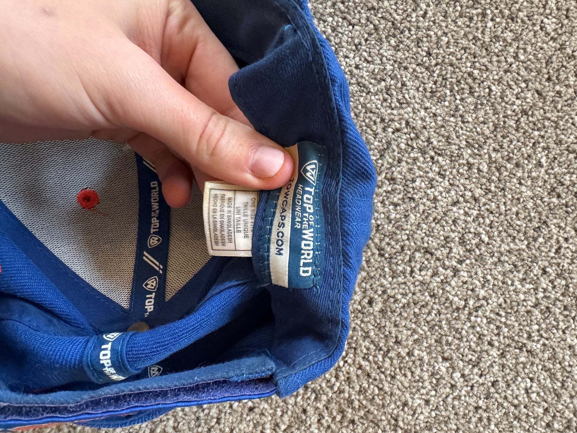 Top Of The World Blue Florida Gators Cap