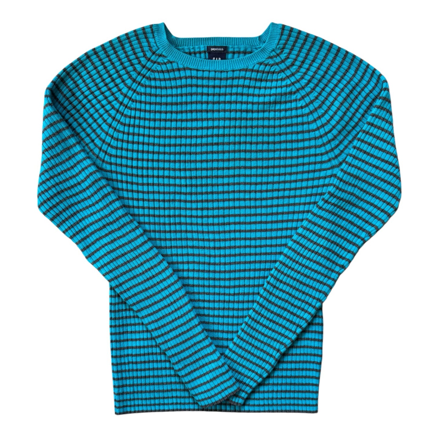 Woman's Medium Stretchy Gap Blue and Charcoal Jumper