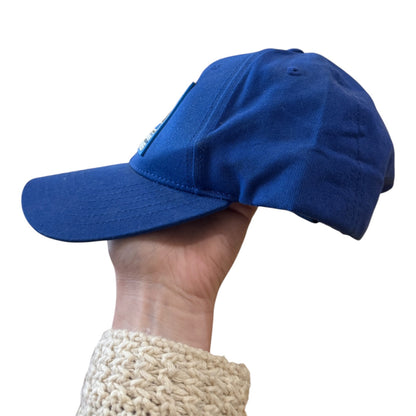 Ganassi Racing Royal Blue 2021 Indy Car Champions Cap