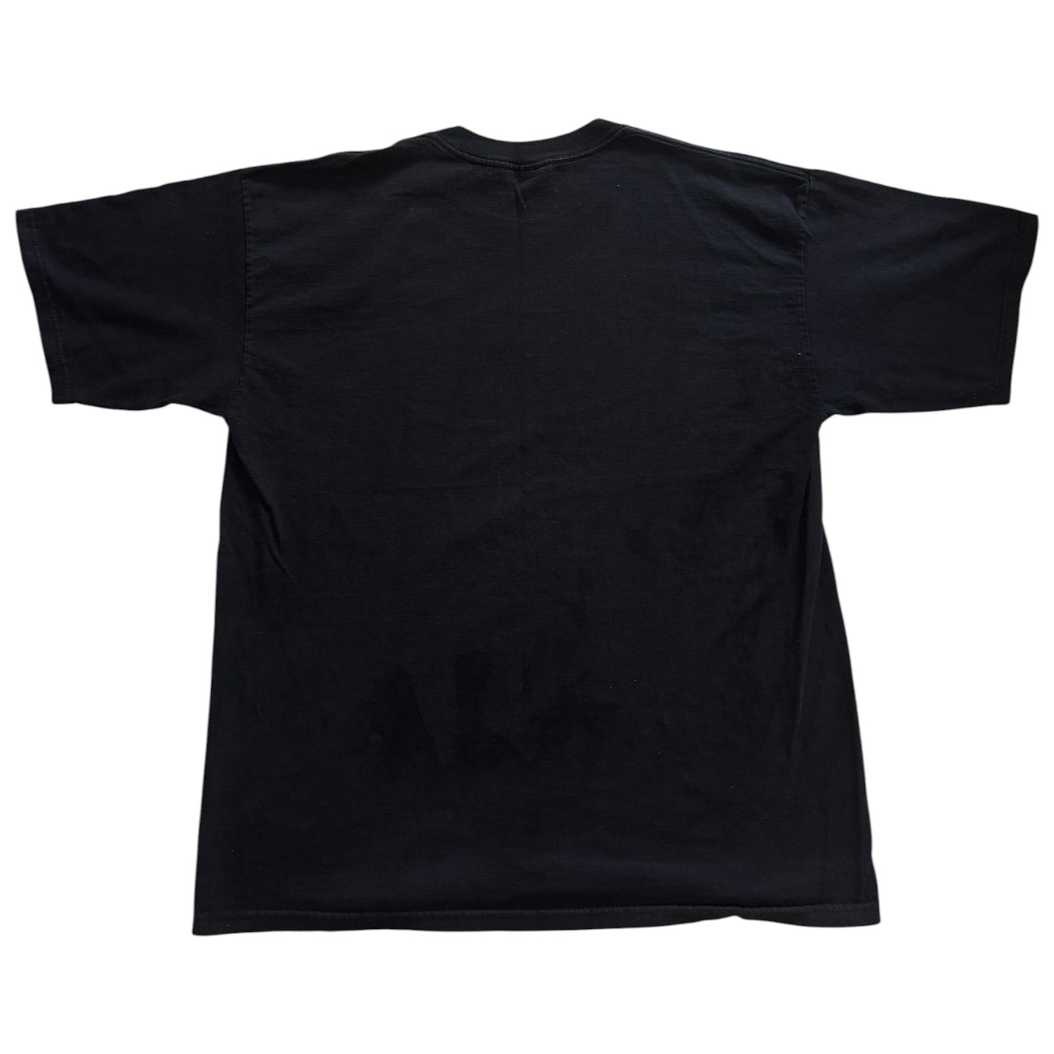 Large Walt Disney World 2000 Black T-Shirt